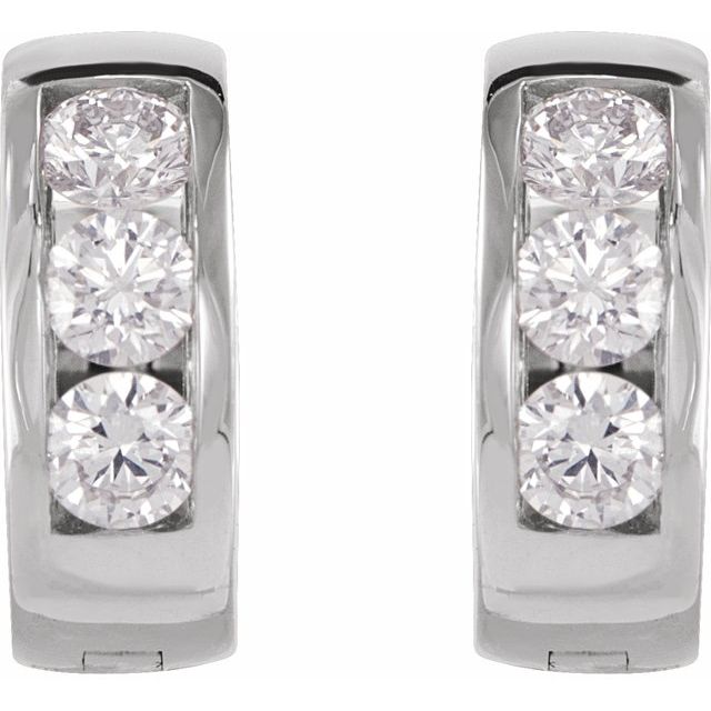 Hinged Hoop Earrings