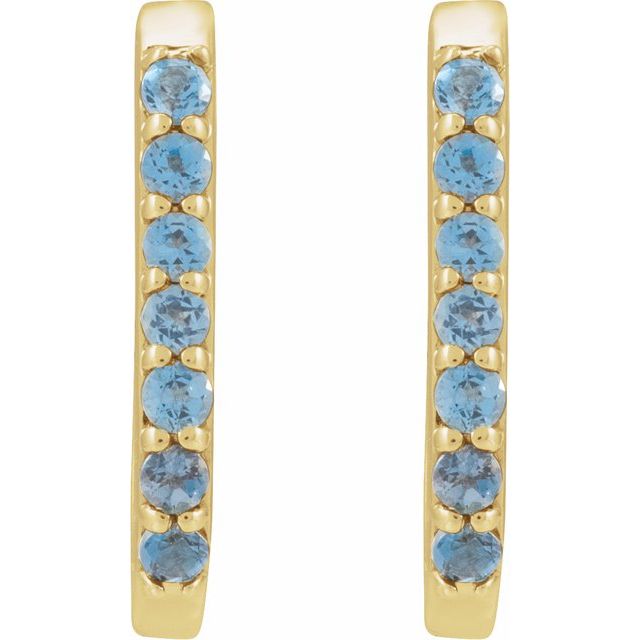 Accented Elongated Hoop Earrings