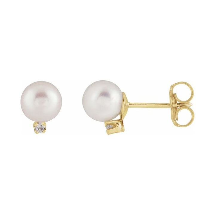 Accented Pearl Earrings