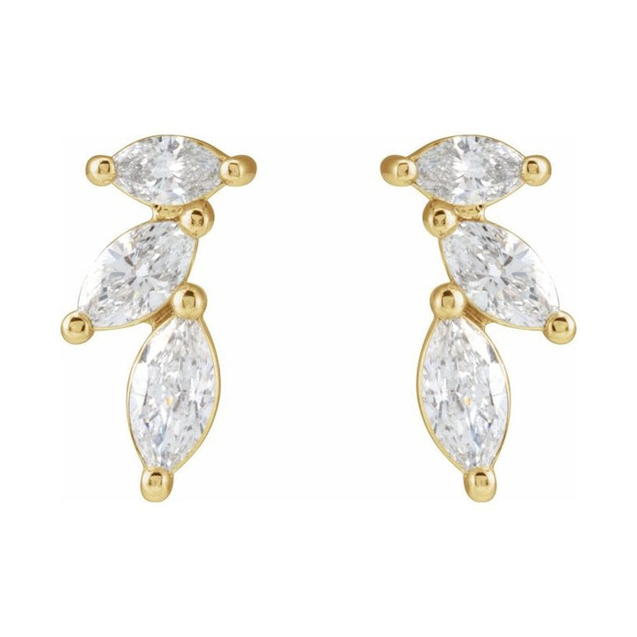 Accented Earrings