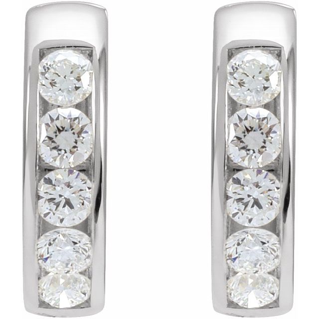 Hinged Hoop Earrings