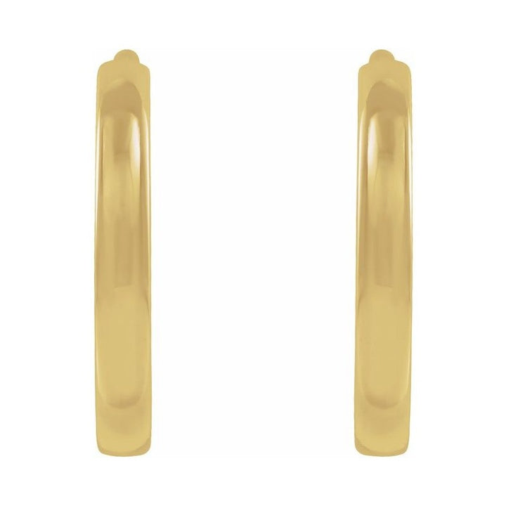 Hoop Earrings