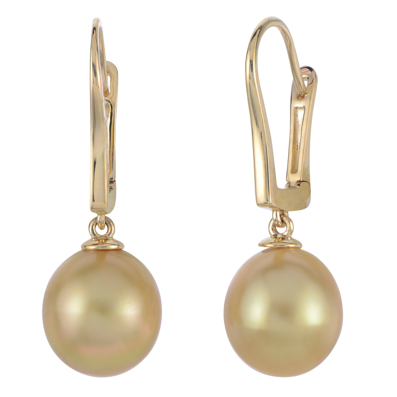14KT Yellow Gold Golden South Sea Pearl Earring