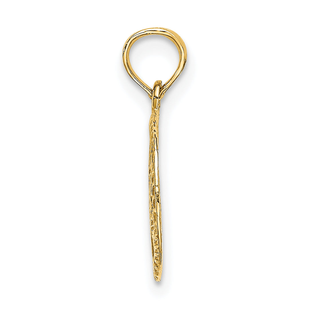14K Engraved Star Of David In Circle Charm