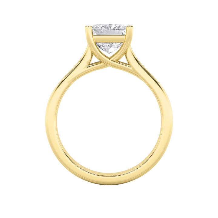1Cttw Princess Shaped Lab Grown Diamond (F/VS) Plain Cathedral Trellis Shank Solitaire Engagement Ring in 14K Gold