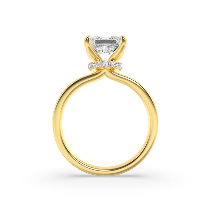 3Cttw Princess Shaped Lab Grown Diamond (F/VS) Hidden Halo Plain Shank Engagement Ring in 14K Gold