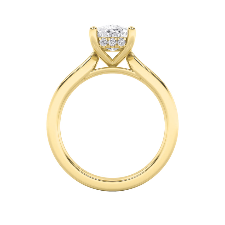 1Cttw Elongated Cushion Shaped Lab Grown Diamond (F/VS) Hidden Halo Cathedral Shank Engagement Ringin 14K Gold