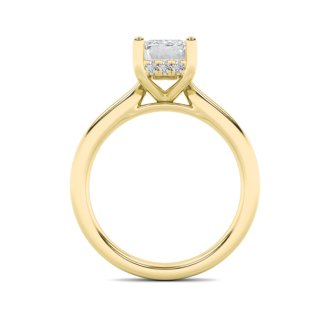 1Cttw Emerald Shaped Lab Grown Diamond (F/VS) Hidden Halo Cathedral Shank Engagement Ring in 14K Gold