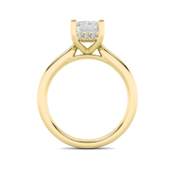 1Cttw Emerald Shaped Lab Grown Diamond (F/VS) Hidden Halo Cathedral Shank Engagement Ring in 14K Gold