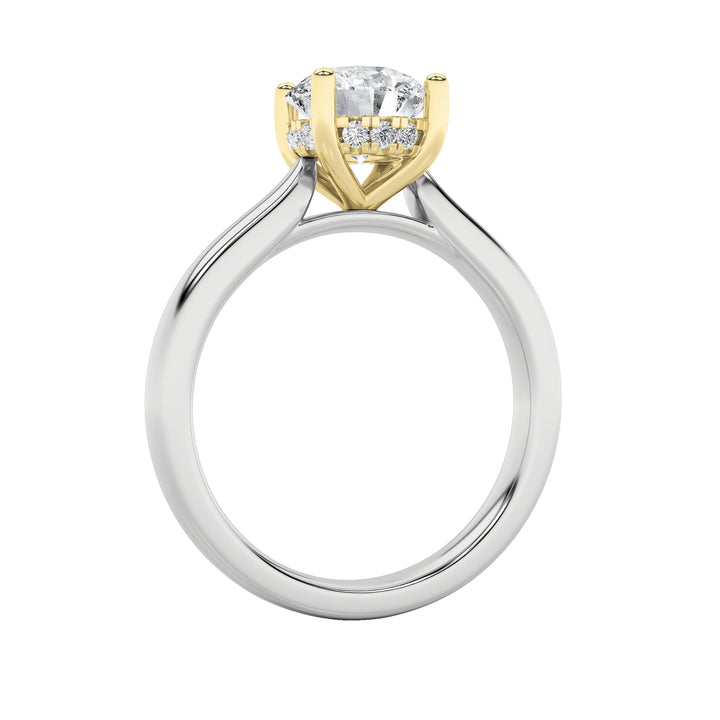 3Cttw Round Shaped Lab Grown Diamond (F/VS) Hidden Halo Cathedral Shank Engagement Ring in 14K Gold