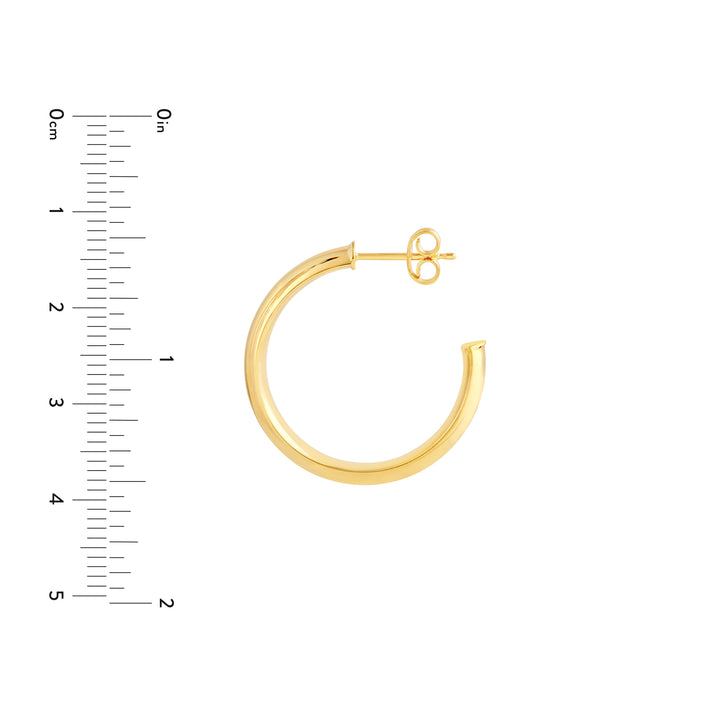 20mm D-Tube Round Hoop Earrings