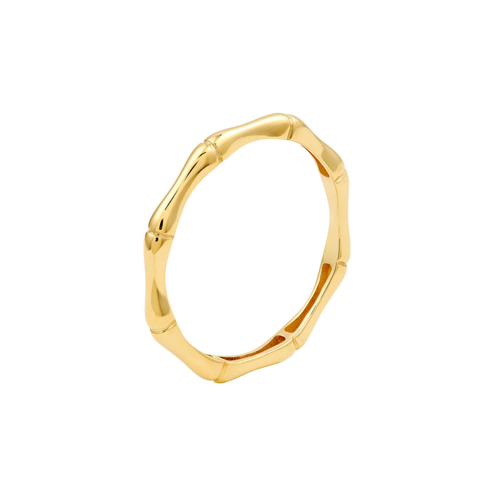 Dainty Bamboo Band