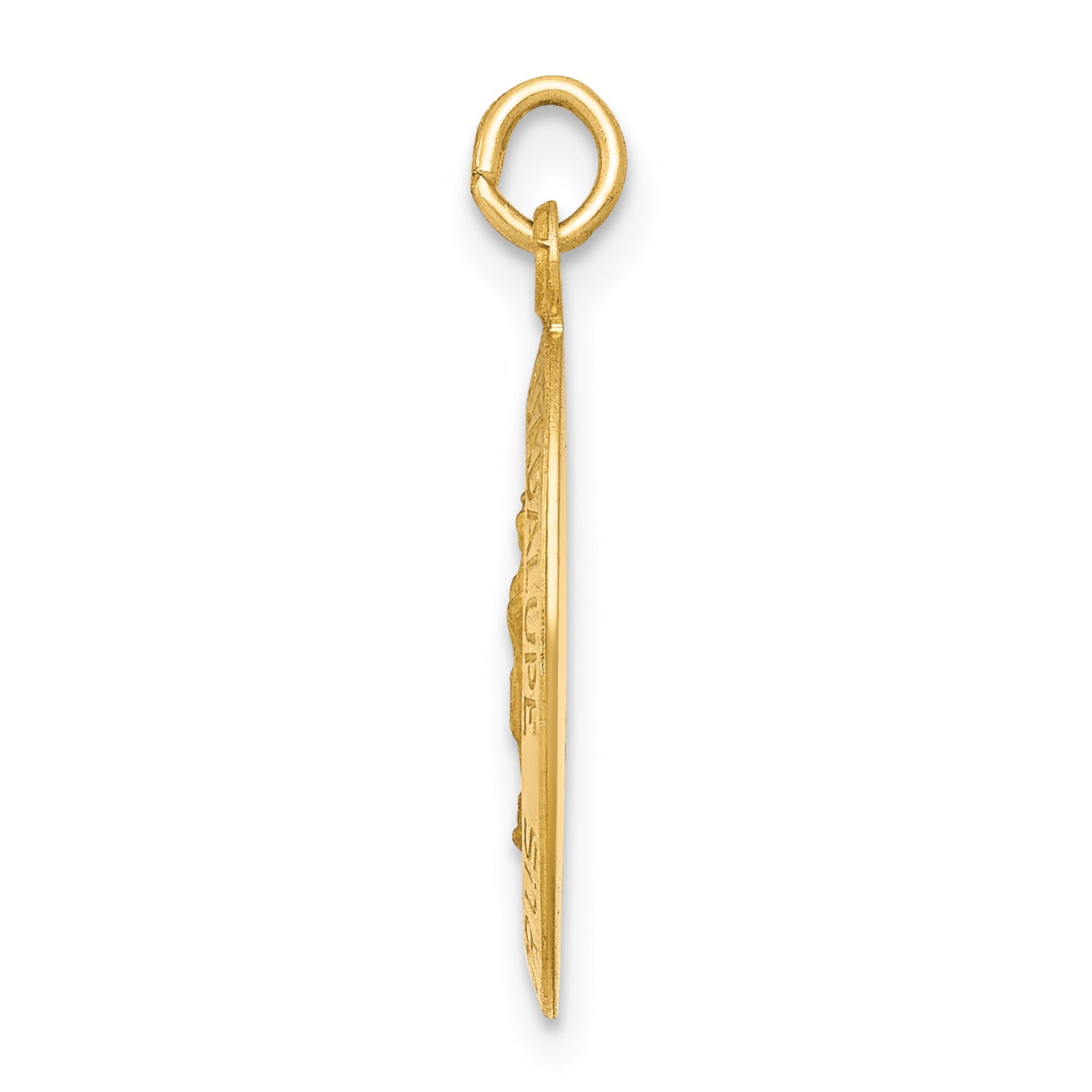 14k Polished and Satin Our Lady of Guadalupe Medal Pendant