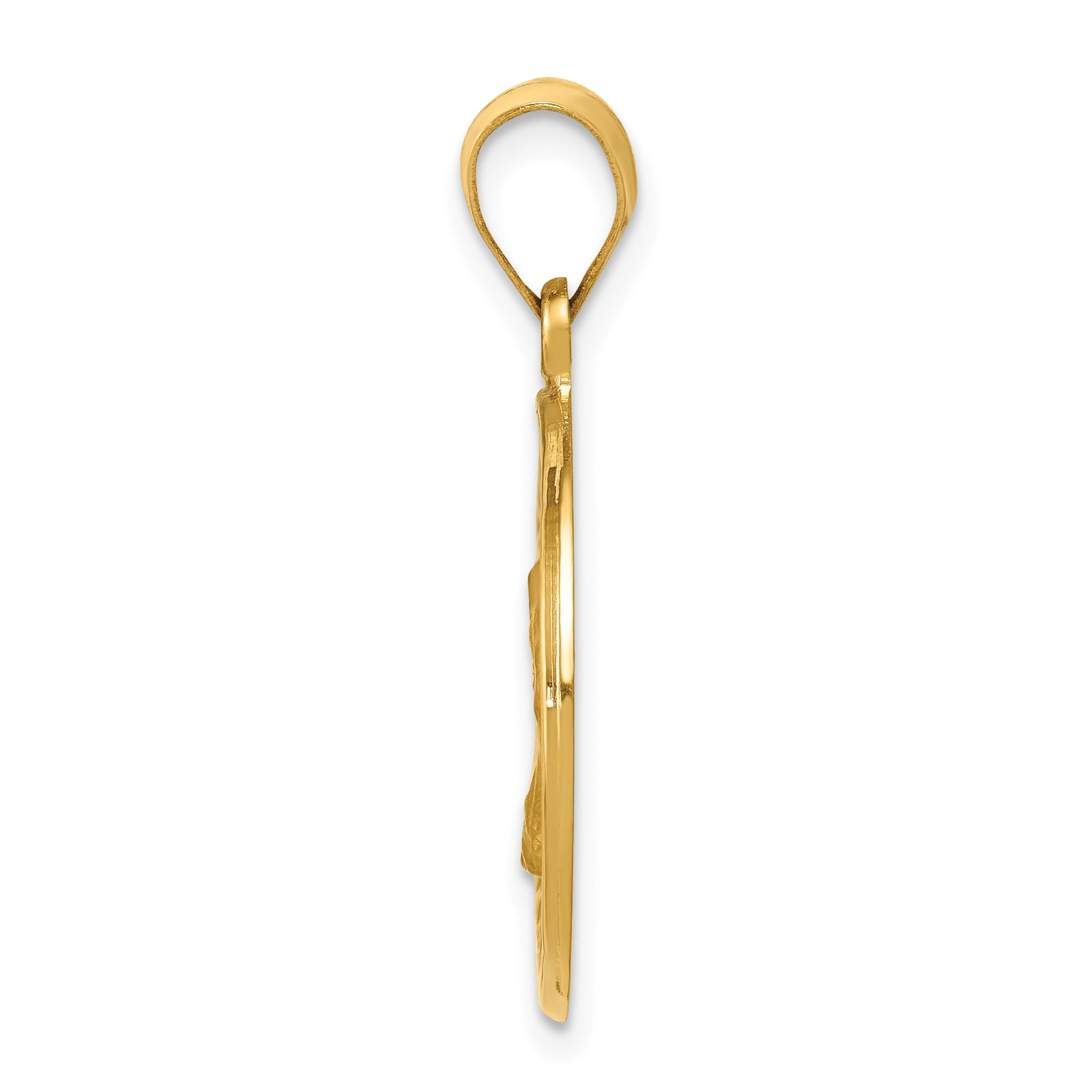 14k Polished and Satin St. Charles Medal Hollow Pendant