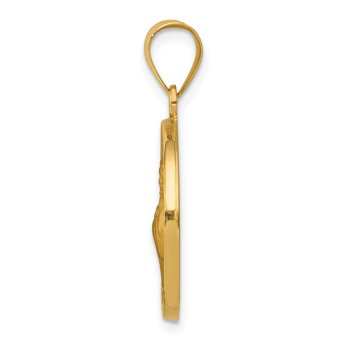 14k Polished and Satin St Francis of Assisi Medal Hollow Pendant