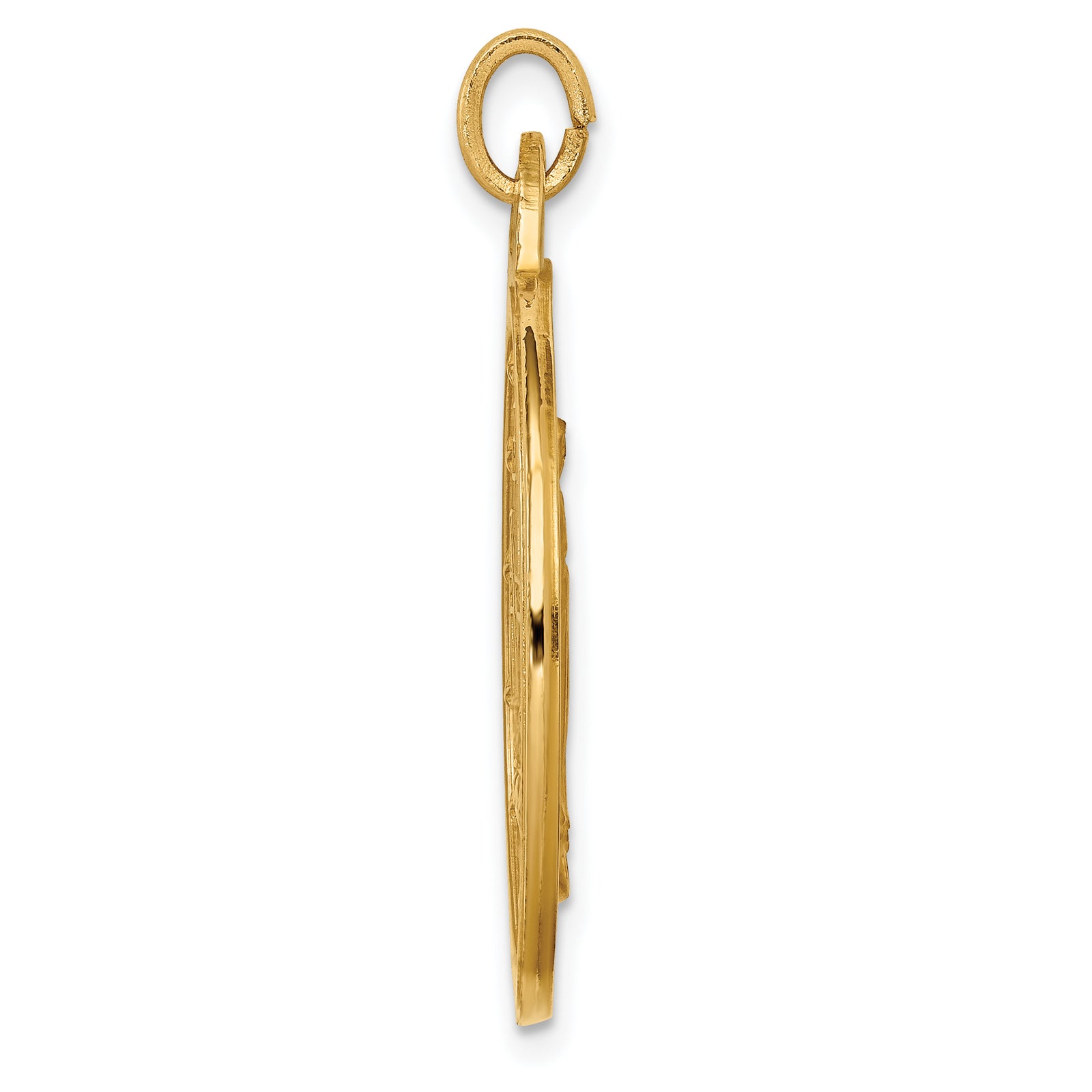 14k Solid Polished/Satin Extra Large Round Miraculous Medal