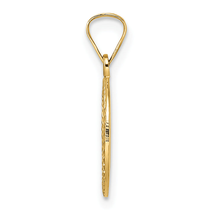 14k Polished and Textured Solid Star of David in Frame Pendant