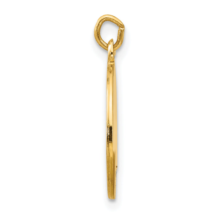 14k Saint Luke Medal Charm