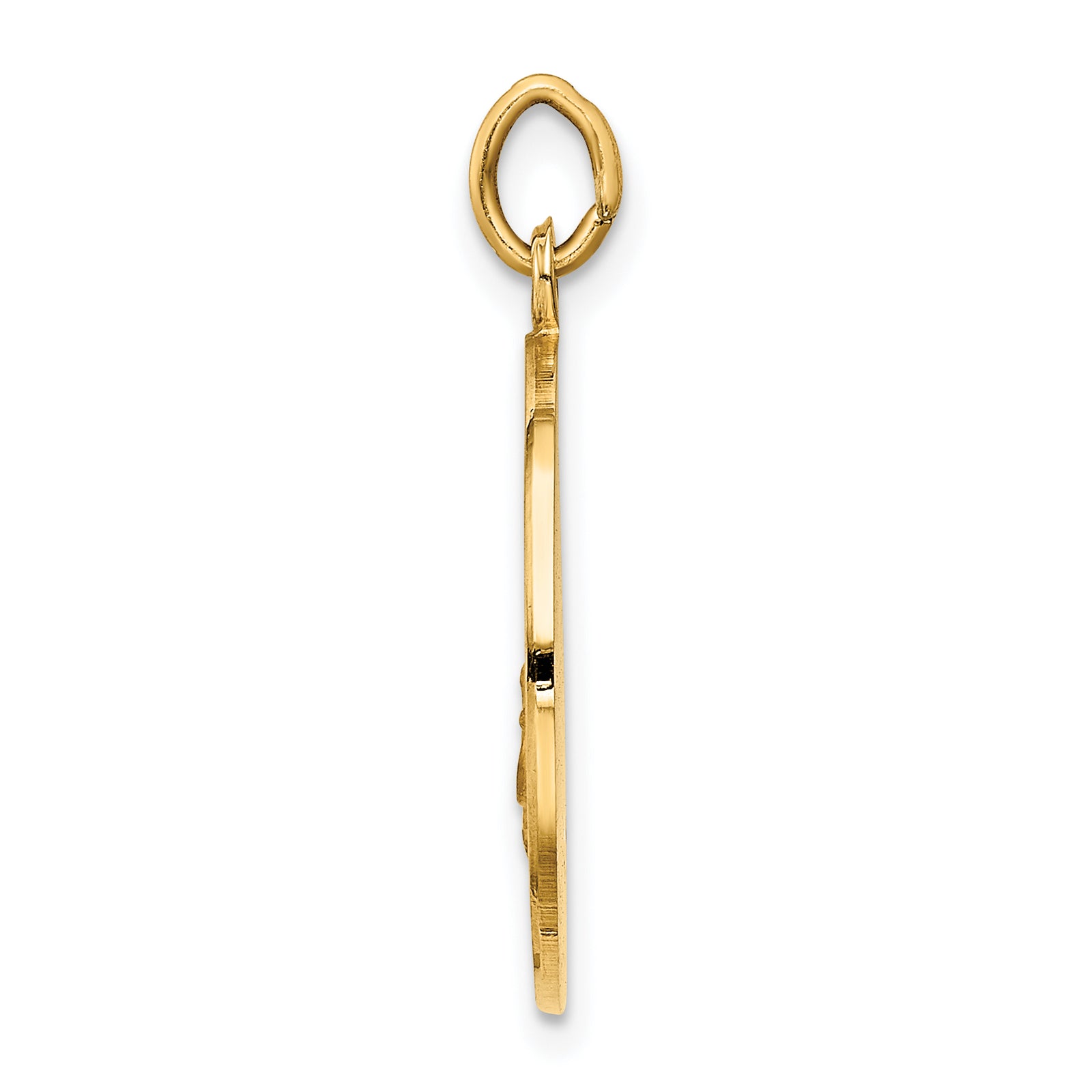 14k Polished and Satin Solid San Juan De Los Lagos Medal Round Pendant